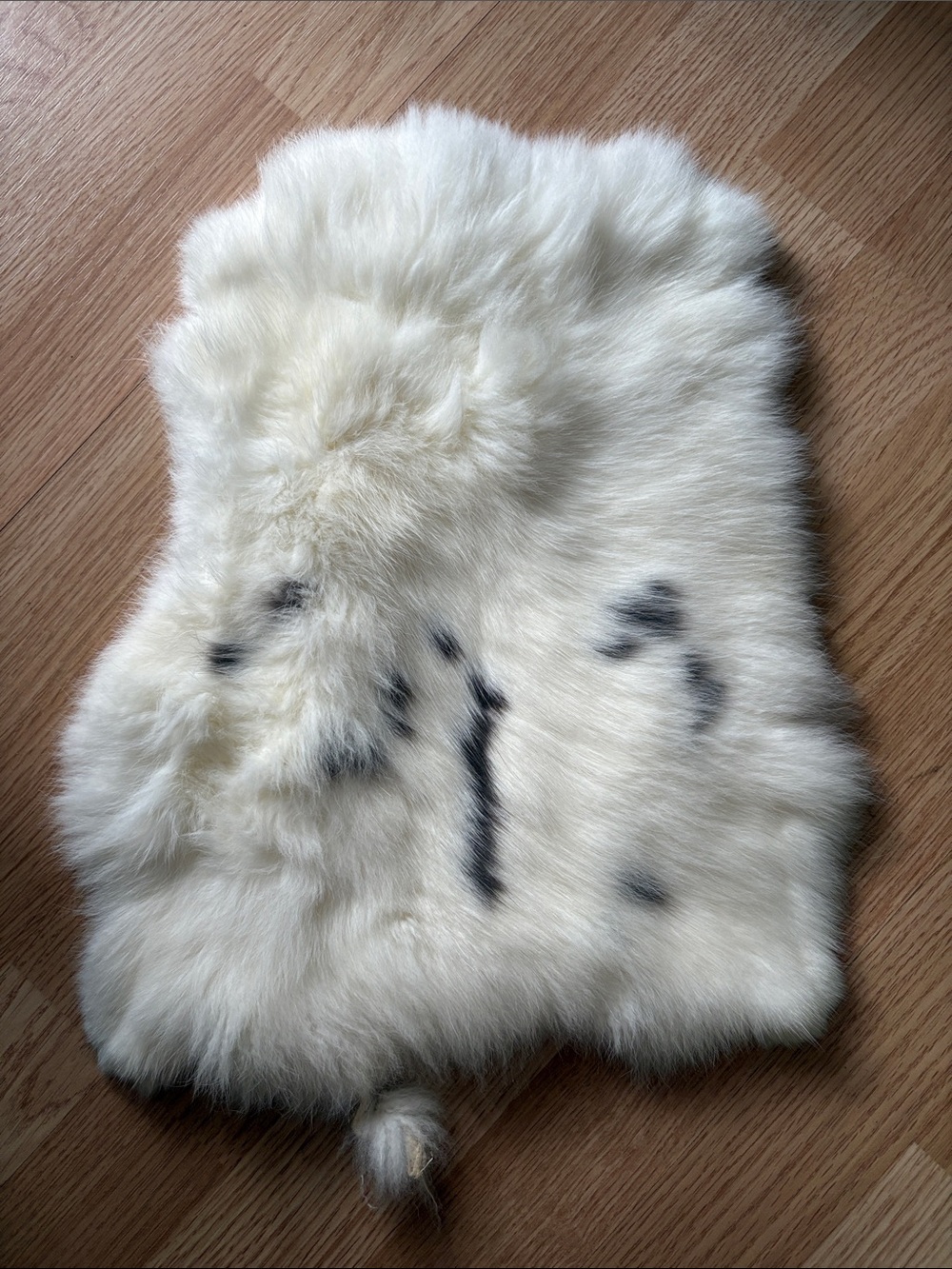 B0219 rabbit pelt